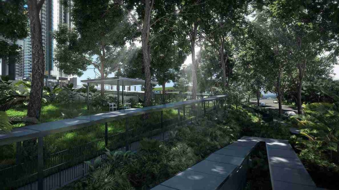 Normanton Park - Rain Forest Corridor